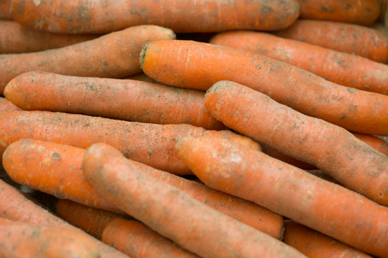 Carotte sable bio - kg