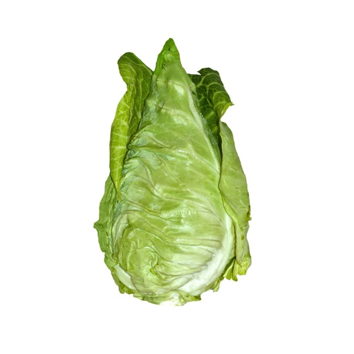 Chou blanc / vert bio - pièce