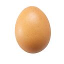 [01] Oeufs bio - pièce (Ferme Catteau)